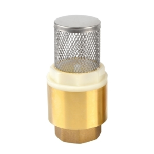 2" FOOT VALVE W/ NON RETURN & SEEVE