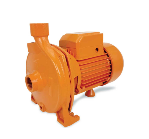 DDC170 Cast Iron Pump