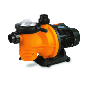 DPL1100 POOL PUMP 1.1KW 1PH
